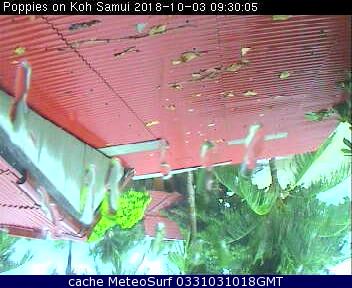 webcam Koh Samui Hotel Surat Thani